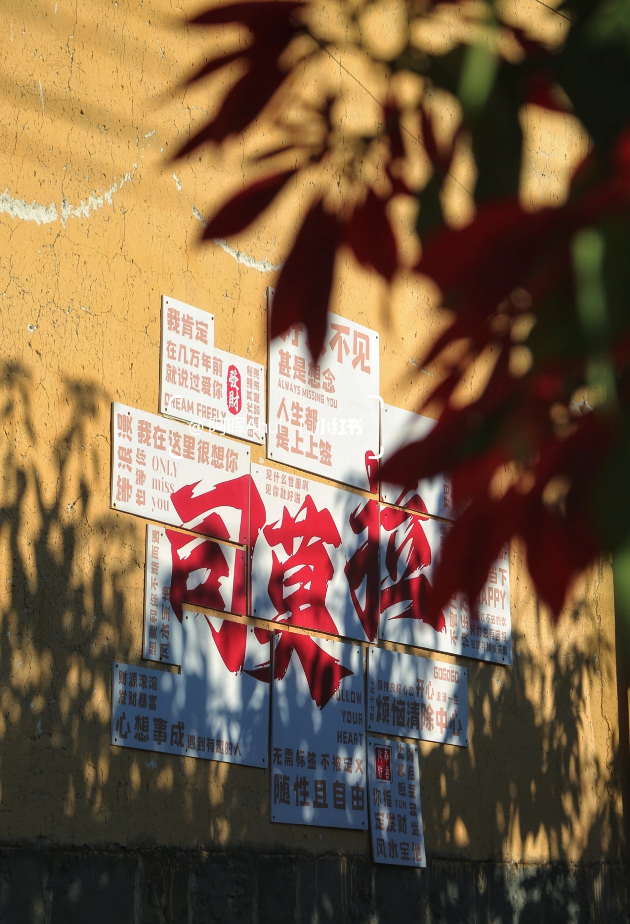 Banner 2