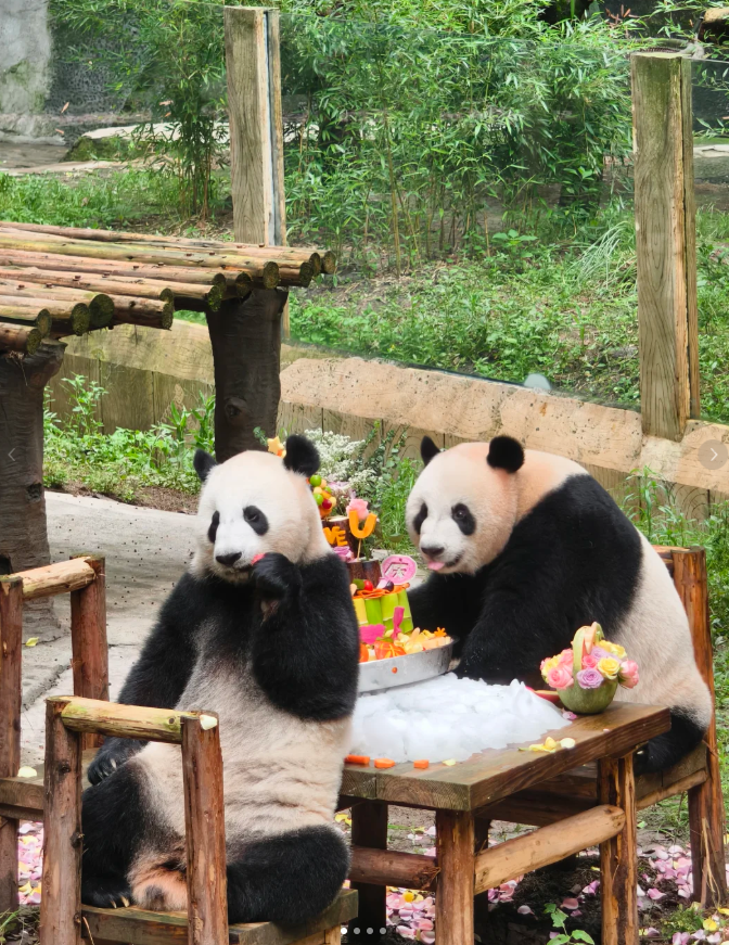 特性图片